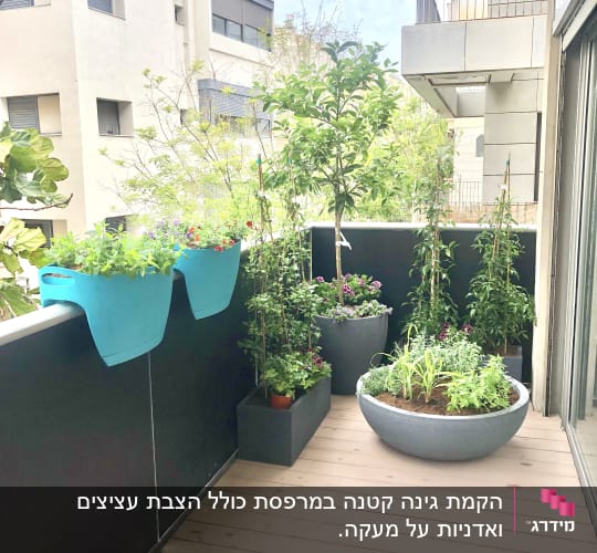 עציצים עם צמחים ופרחים על מרפסת